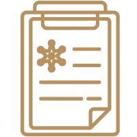 Procesos mercantiles